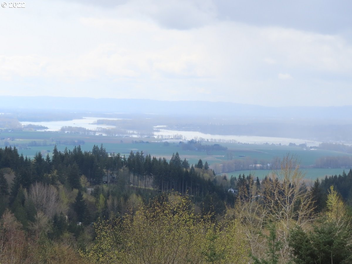 903 Confer Road Kalama, WA 98625 - Photo 21 of 24