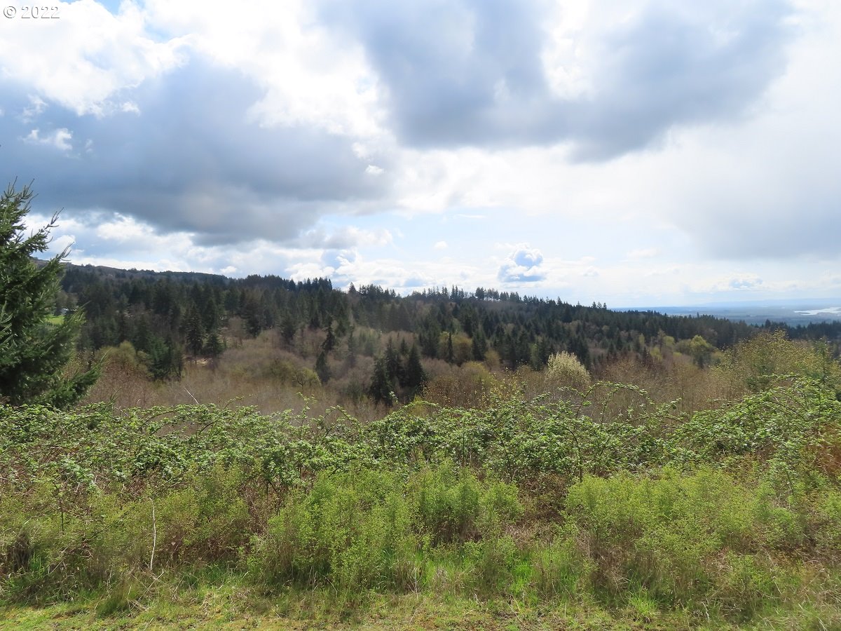 903 Confer Road Kalama, WA 98625 - Photo 3 of 24