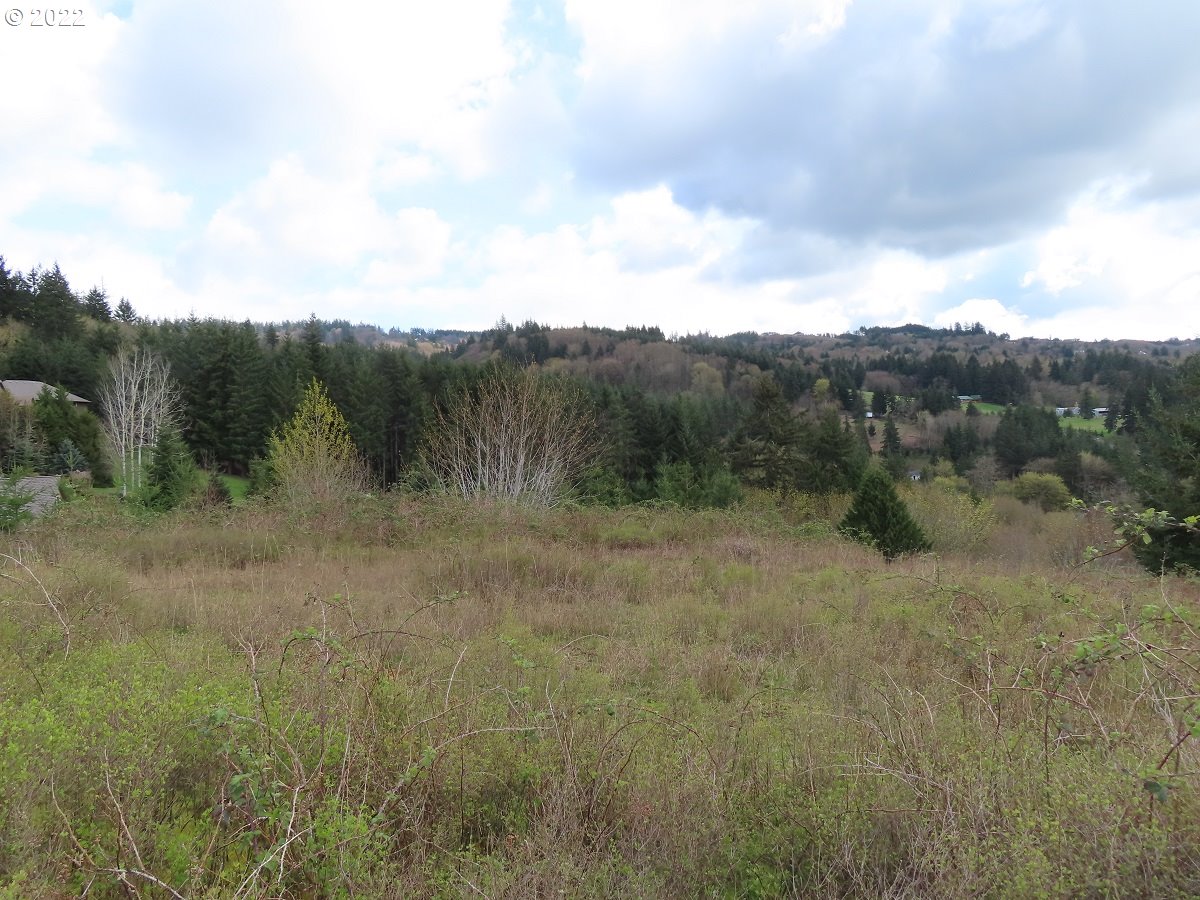 903 Confer Road Kalama, WA 98625 - Photo 4 of 24