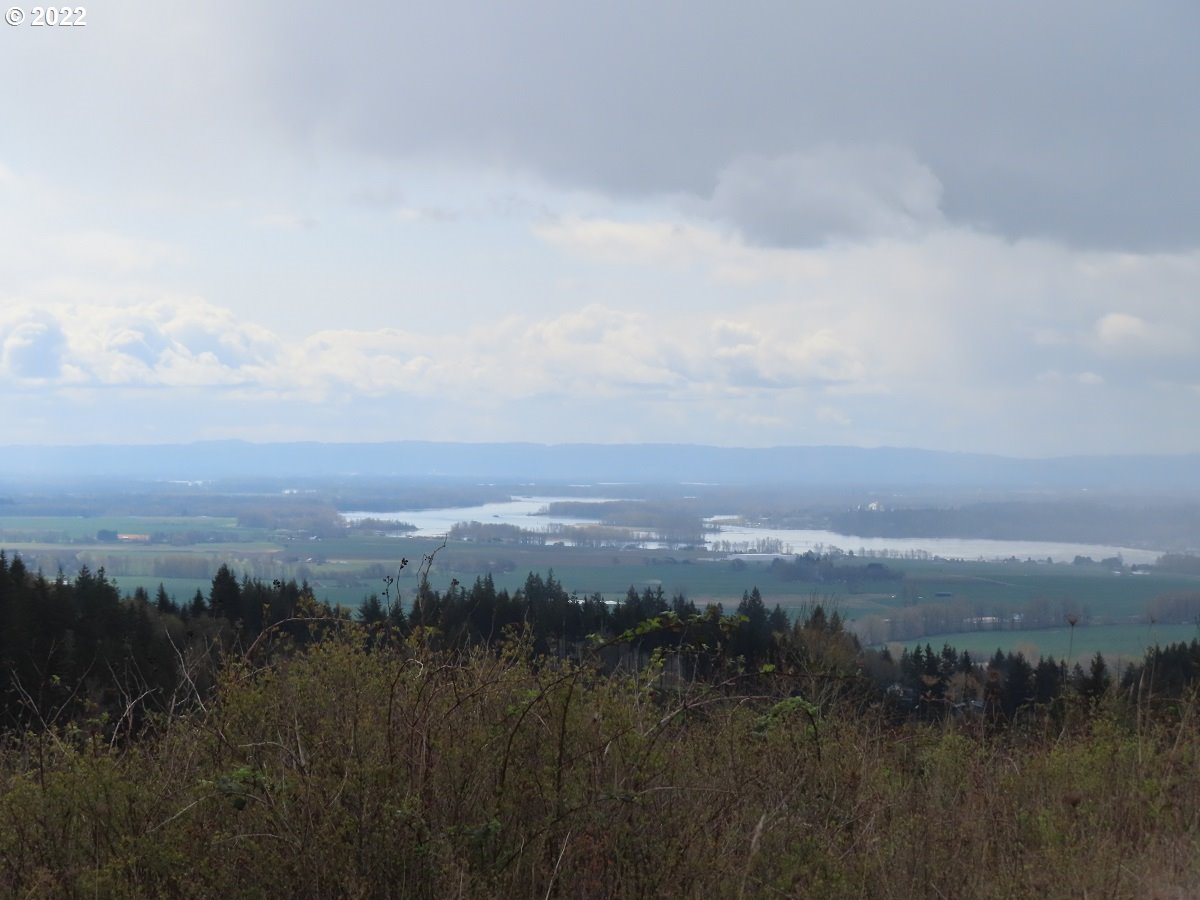 903 Confer Road Kalama, WA 98625 - Photo 5 of 24