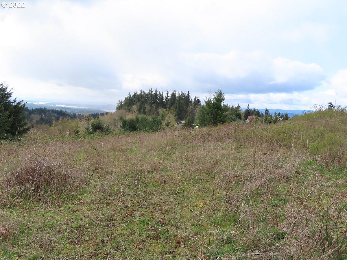 903 Confer Road Kalama, WA 98625 - Photo 6 of 24