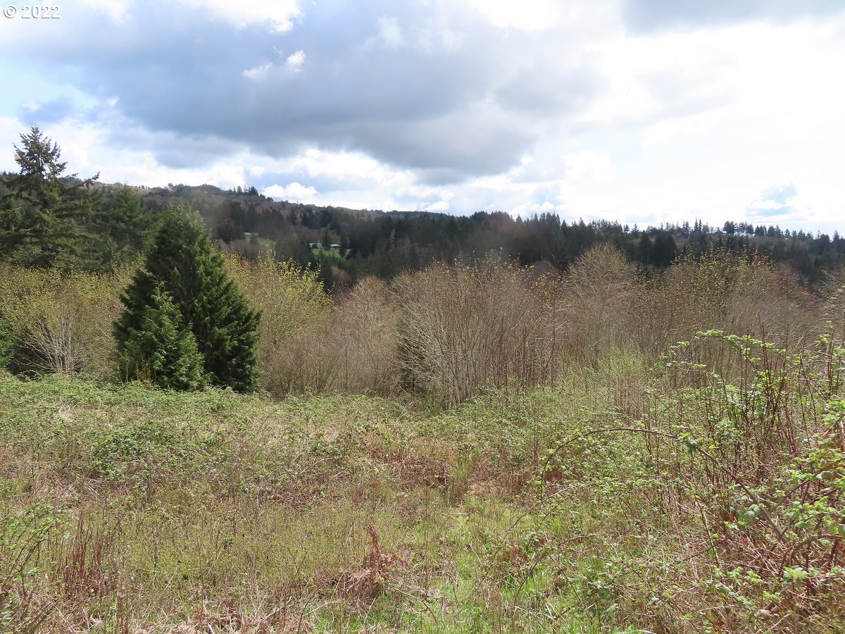 903 Confer Road Kalama, WA 98625 - Photo 7 of 24