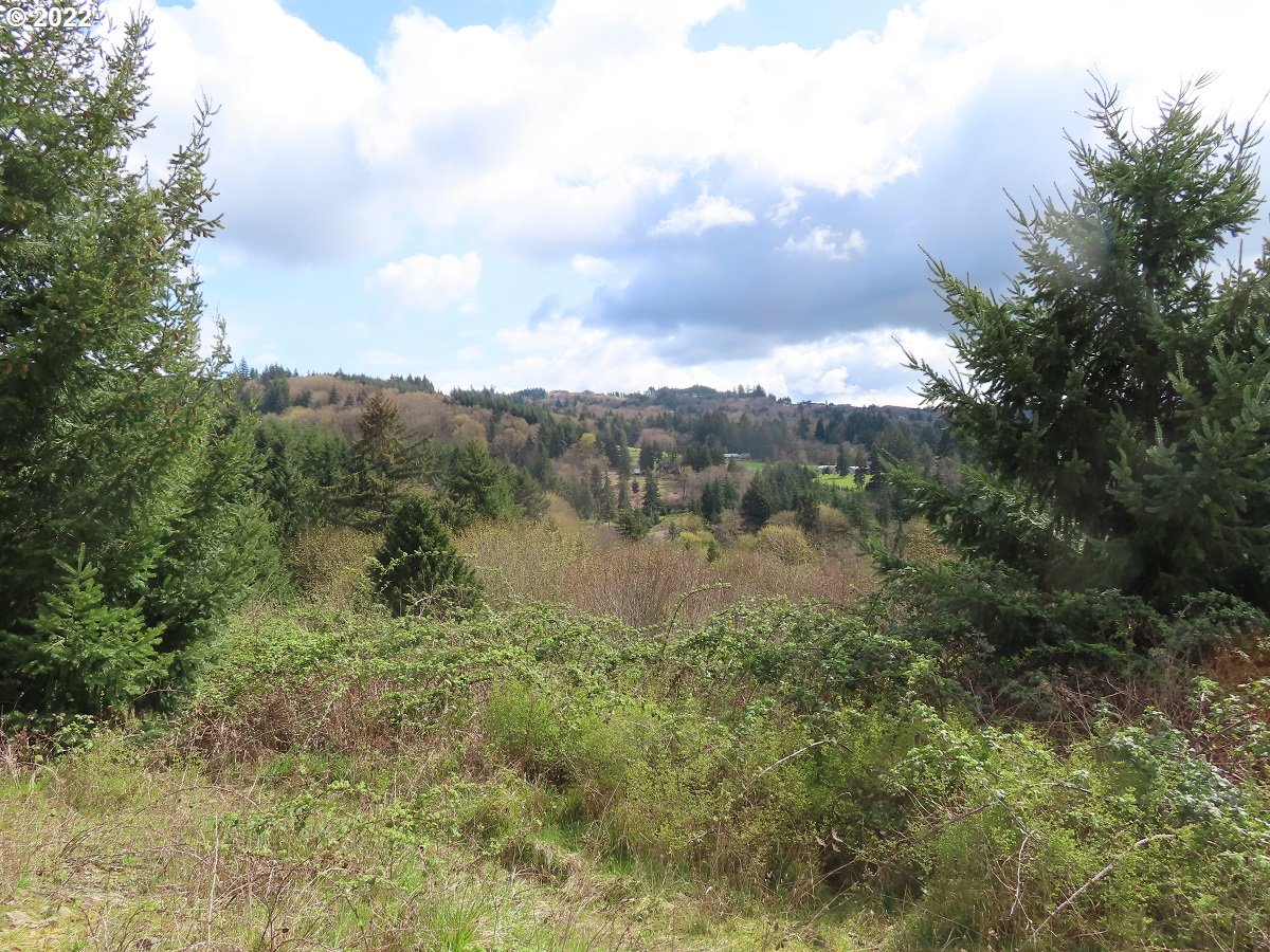 903 Confer Road Kalama, WA 98625 - Photo 8 of 24