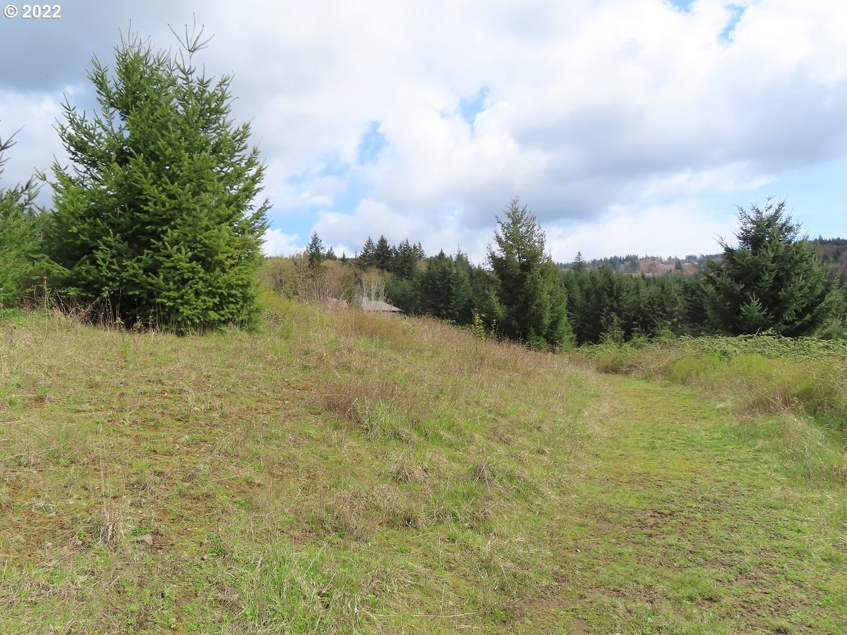 903 Confer Road Kalama, WA 98625 - Photo 9 of 24