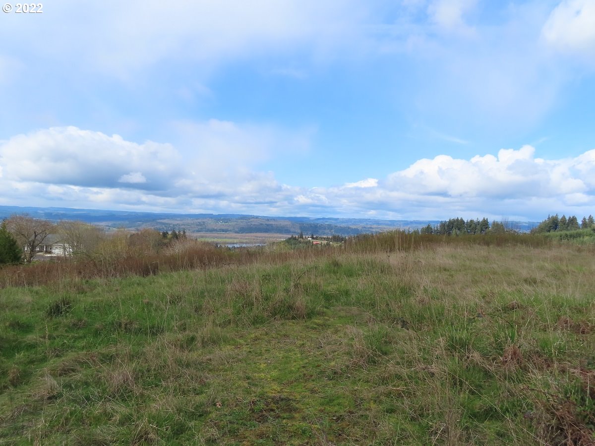 903 Confer Road Kalama, WA 98625 - Photo 10 of 24