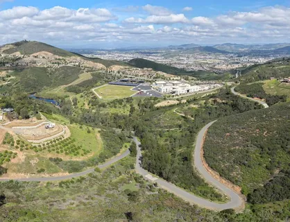a view of a yard