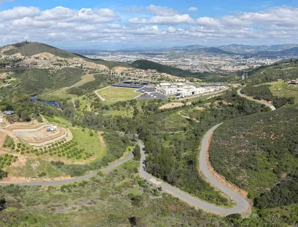 a view of a yard