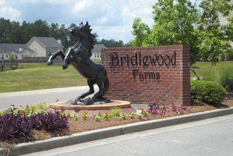 2001 Triple Crown Lane Ridgeville, SC 29472 - Photo 2 of 3 Bridlewood Farms Entrance