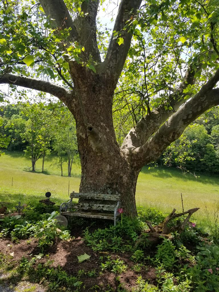 688 Etter Road Rural Retreat, VA 24368 - Photo 63 of 72 Gallery Image 63