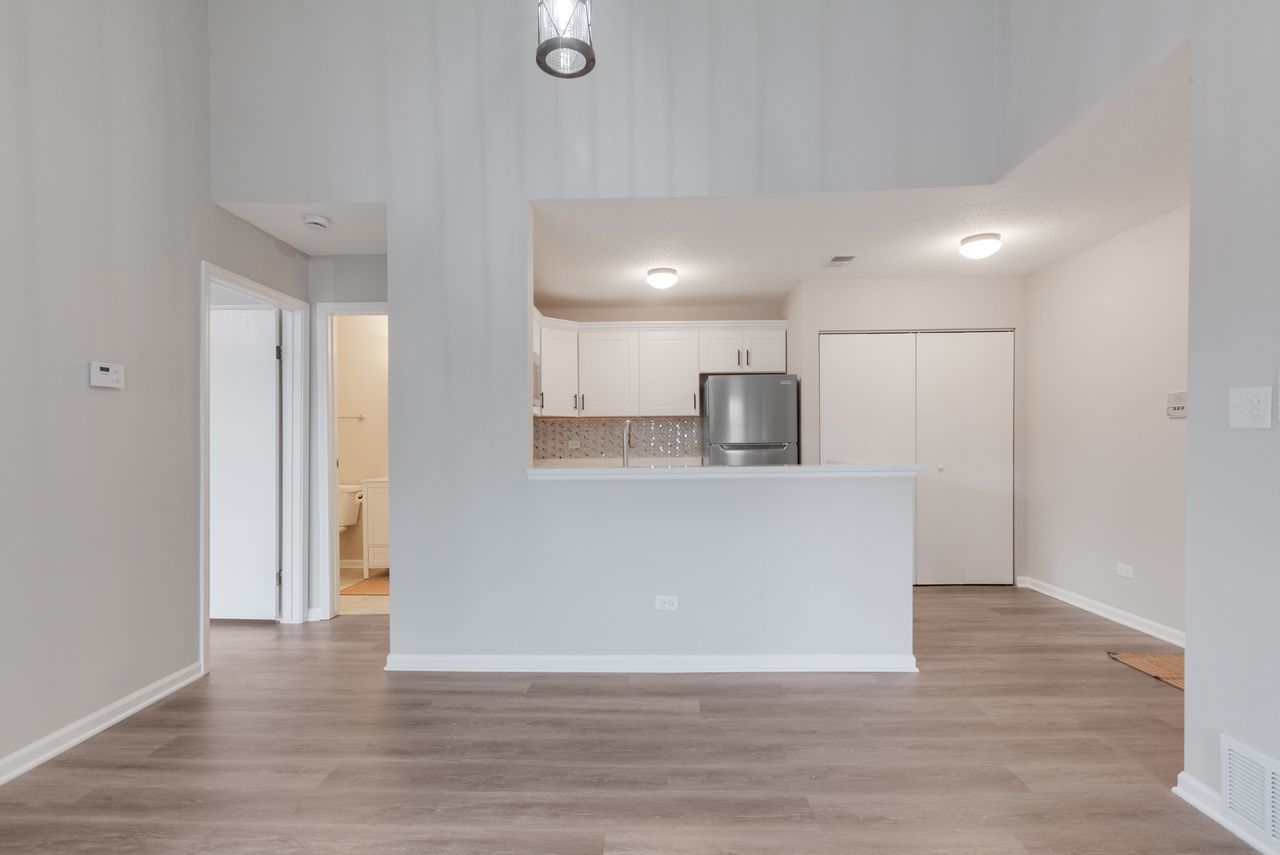 1919 North Hicks Road, Unit 209 Palatine, IL 60074 - Photo 8 of 20