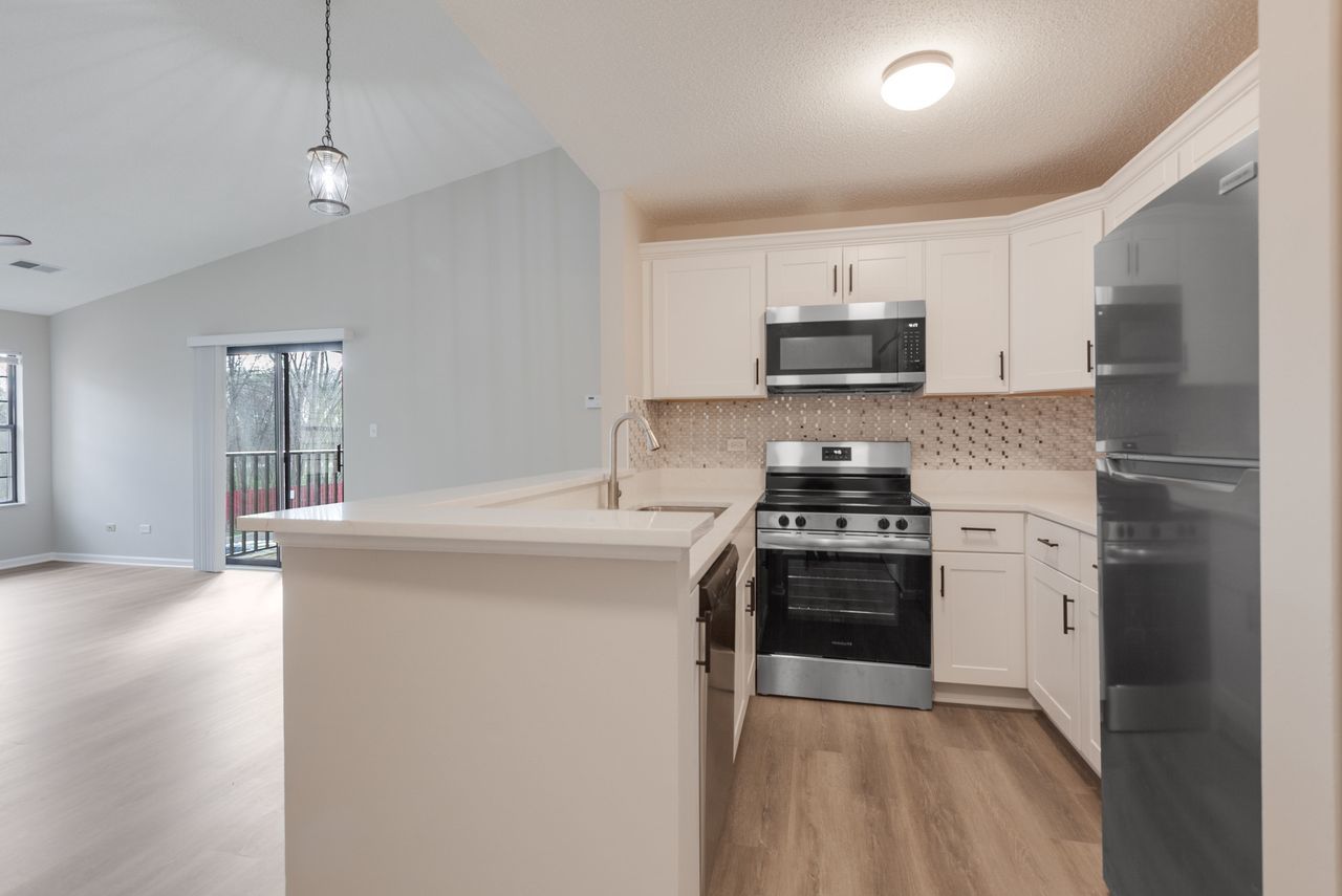 1919 North Hicks Road, Unit 209 Palatine, IL 60074 - Photo 9 of 20