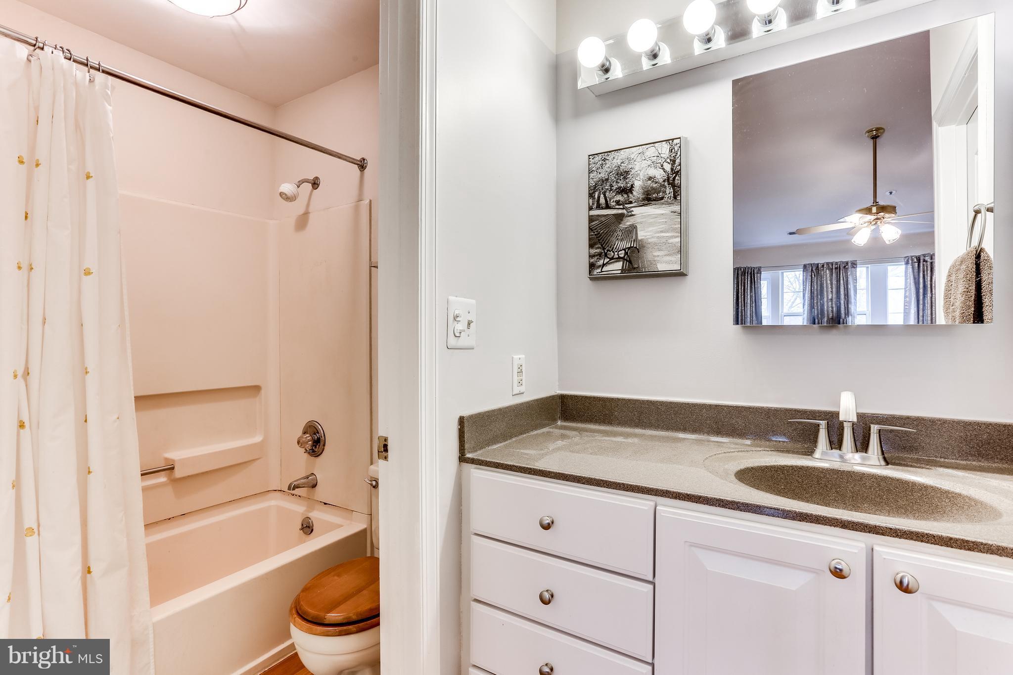 8513 Falls Run Road, Unit J Ellicott City, MD 21043 - Photo 21 of 30 Master Bath Vanity & Medicine Cabinet