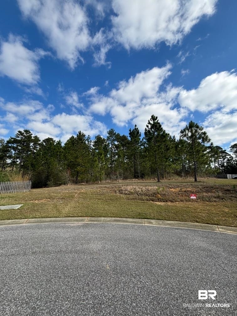 0 Legacy Lane Mobile, AL 36608 - Photo 2 of 4 View of street with curbs