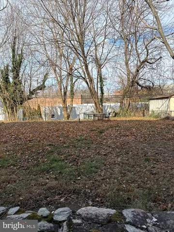 a view of yard covered with trees