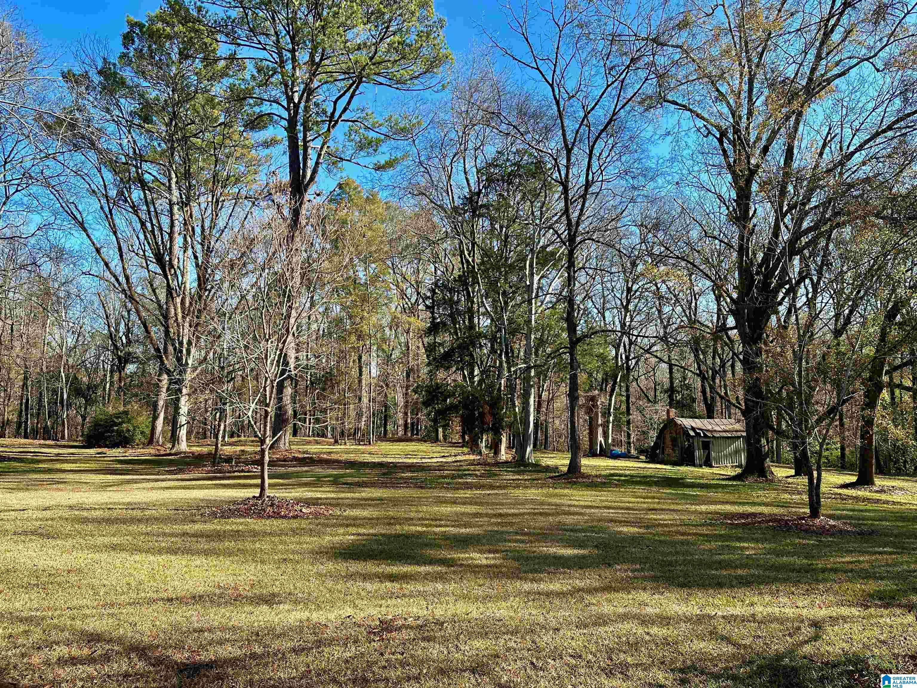 822 Mesopotamia Street Eutaw, AL 35462 - Photo 33 of 47
