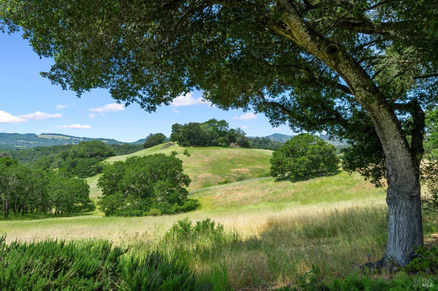 10601 Slattery Road Glen Ellen, CA 95442 - Photo 36 of 45