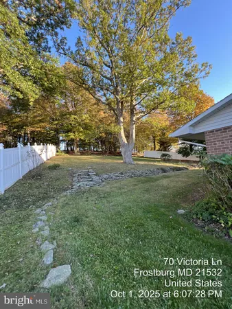 a view of yard with green space
