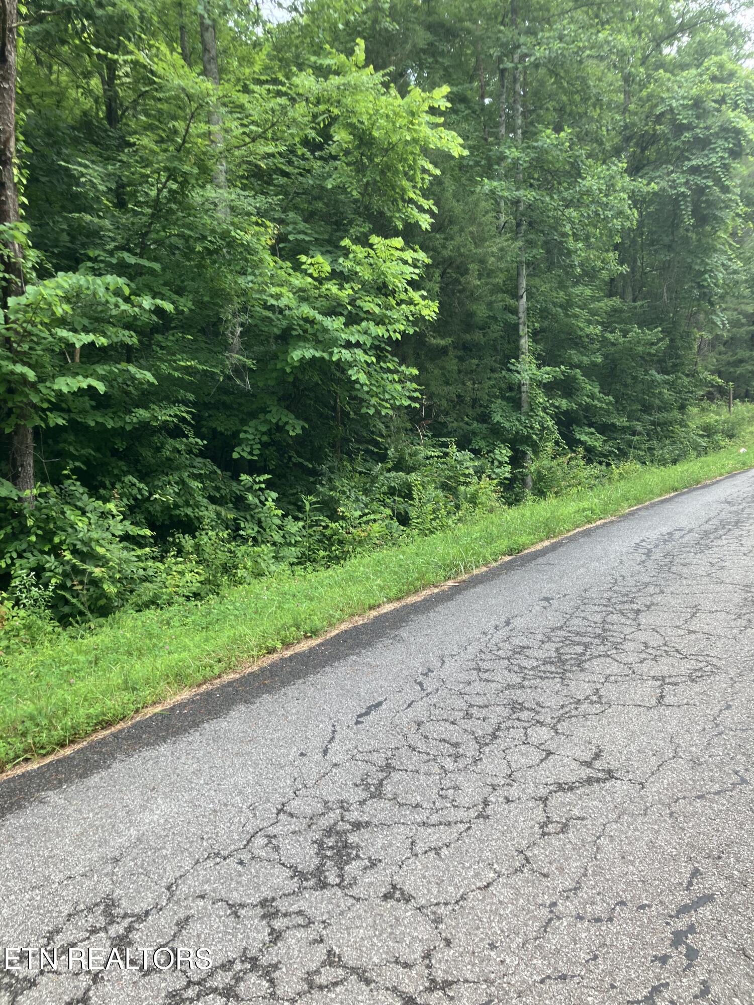 4 3 Point Road Vonore, TN 37885 - Photo 12 of 12 Tract 4-3 Point Rd-6