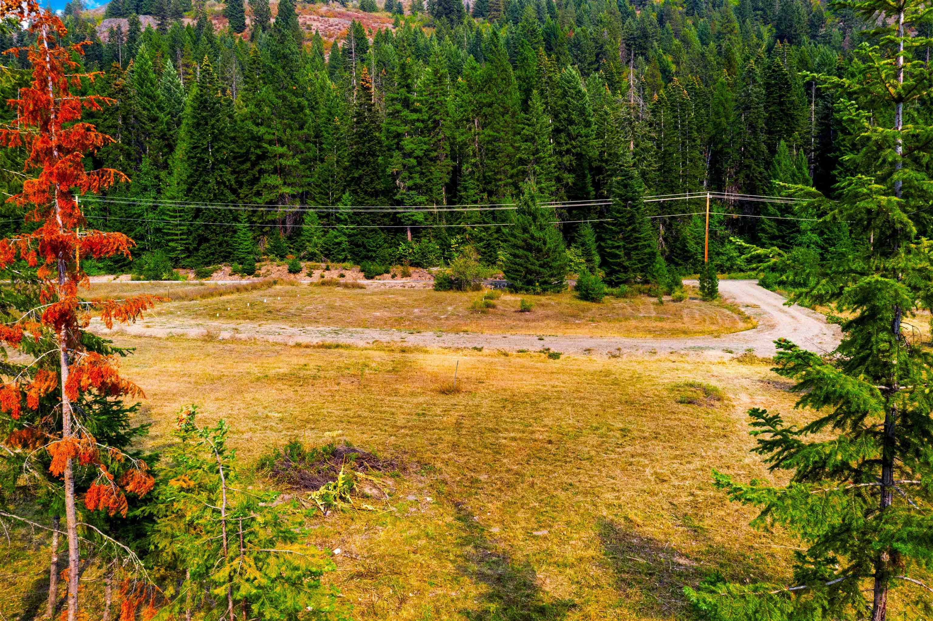 26561 LeClerc Road North Ione, WA 99139 - Photo 3 of 29