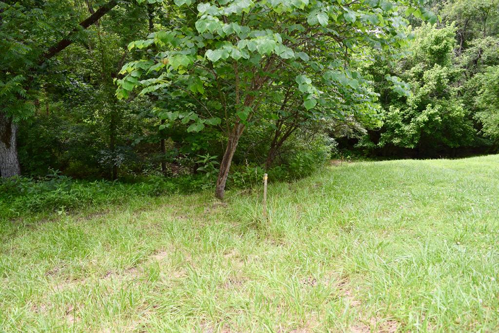 Carters Island Road Goodview, VA 24095 - Photo 28 of 36 Gallery Image 28