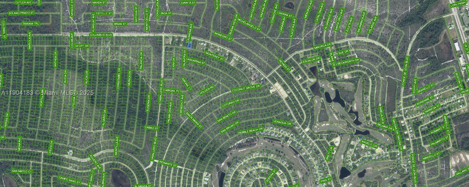 6324 Monterey Street Sebring, FL 33872 - Photo 3 of 17 a view of a plant in a garden