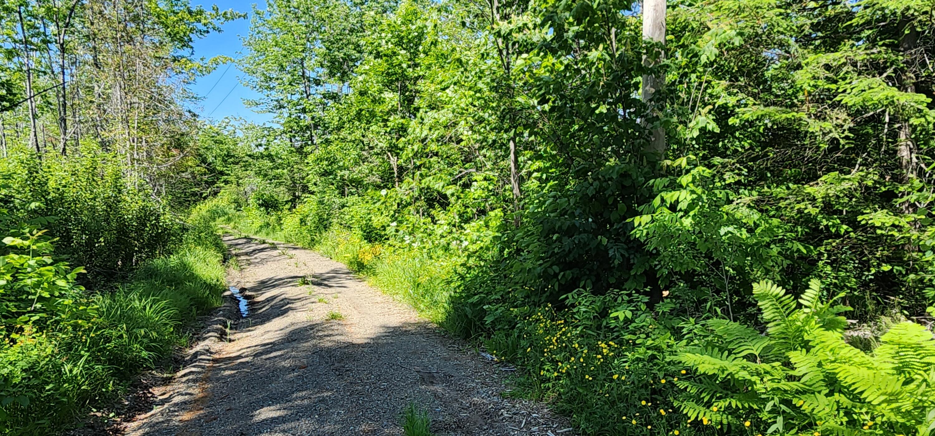 6 Off Hemore Road Houlton, ME 04730 - Photo 5 of 12 20230623_141605
