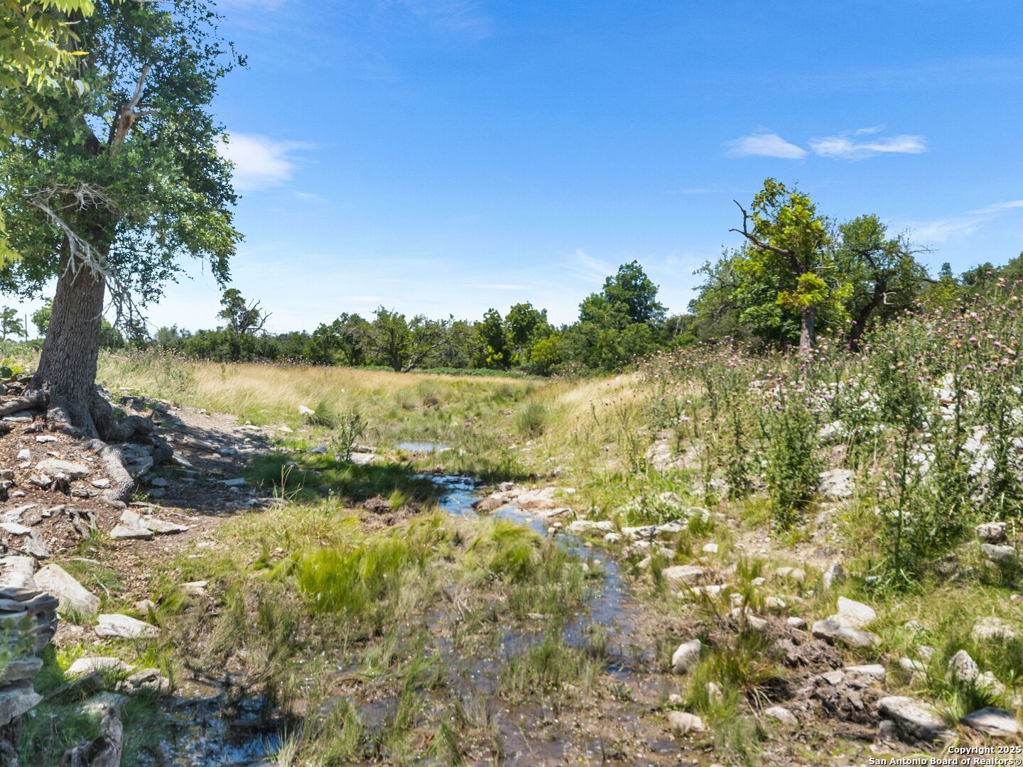 4369 Reeh-Weinheimer Road Fredericksburg, TX 78624 - Photo 76 of 80