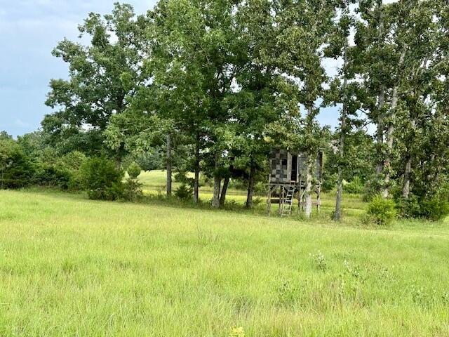 3379 State Route West Summersville, MO 65571 - Photo 63 of 88 IMG_7342