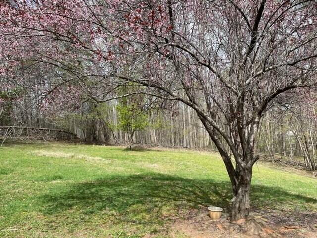 330 Old Mill Road Ridgeway, VA 24148 - Photo 14 of 15 14