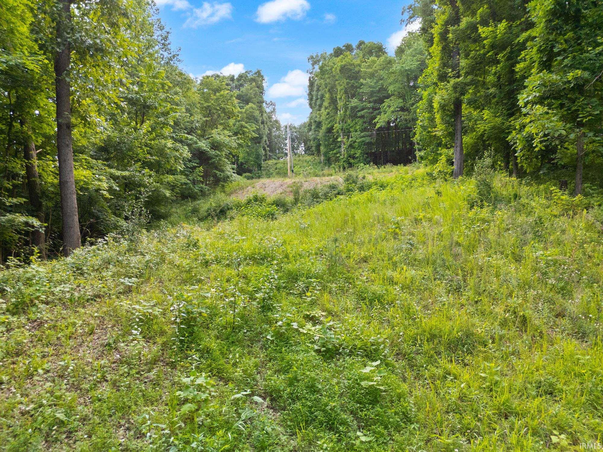3681 Jericho Road Taswell, IN 47175 - Photo 19 of 30