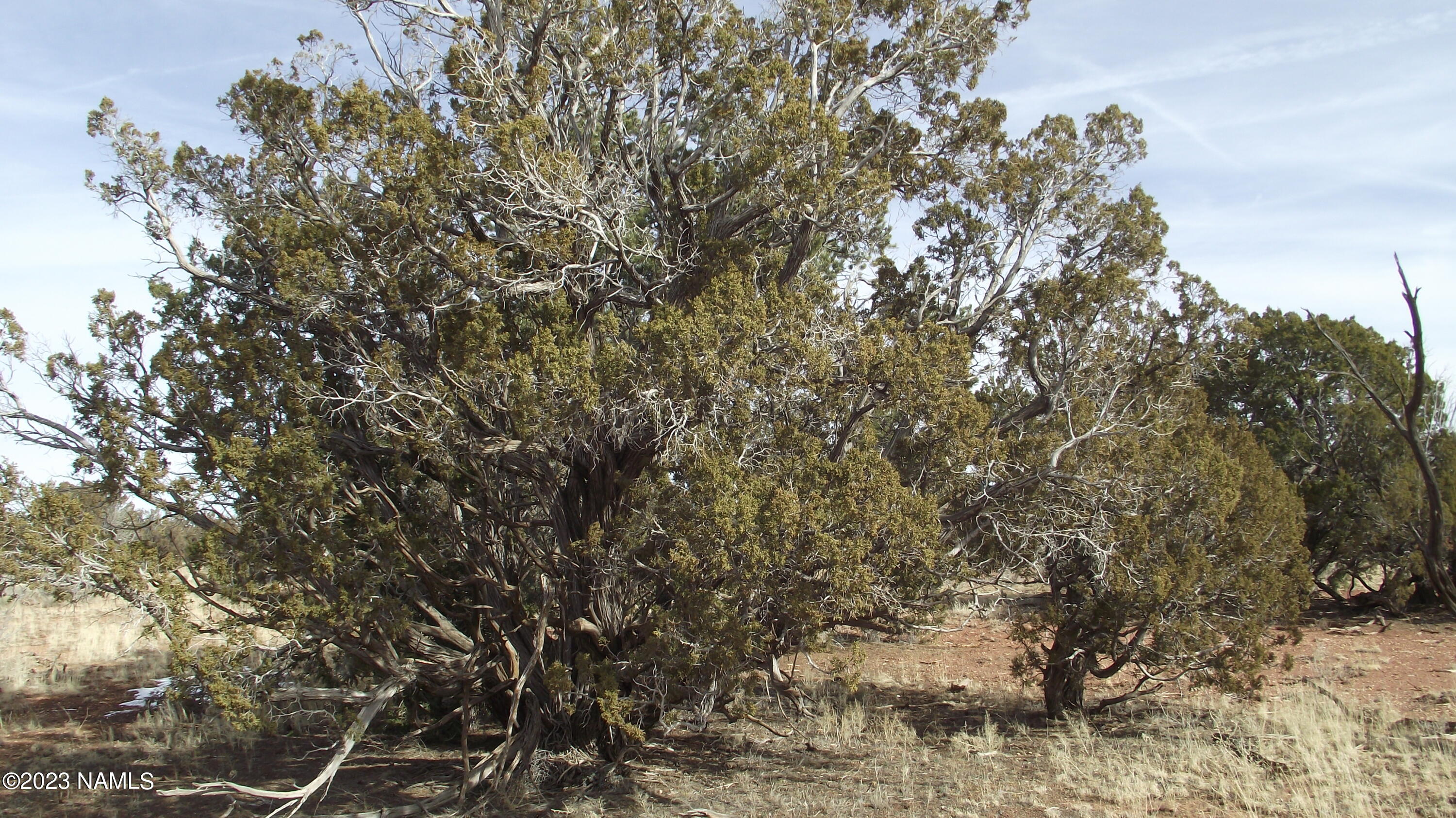 5200 Bowline Road, Unit 269 Williams, AZ 86046 - Photo 3 of 13 DSCF5988