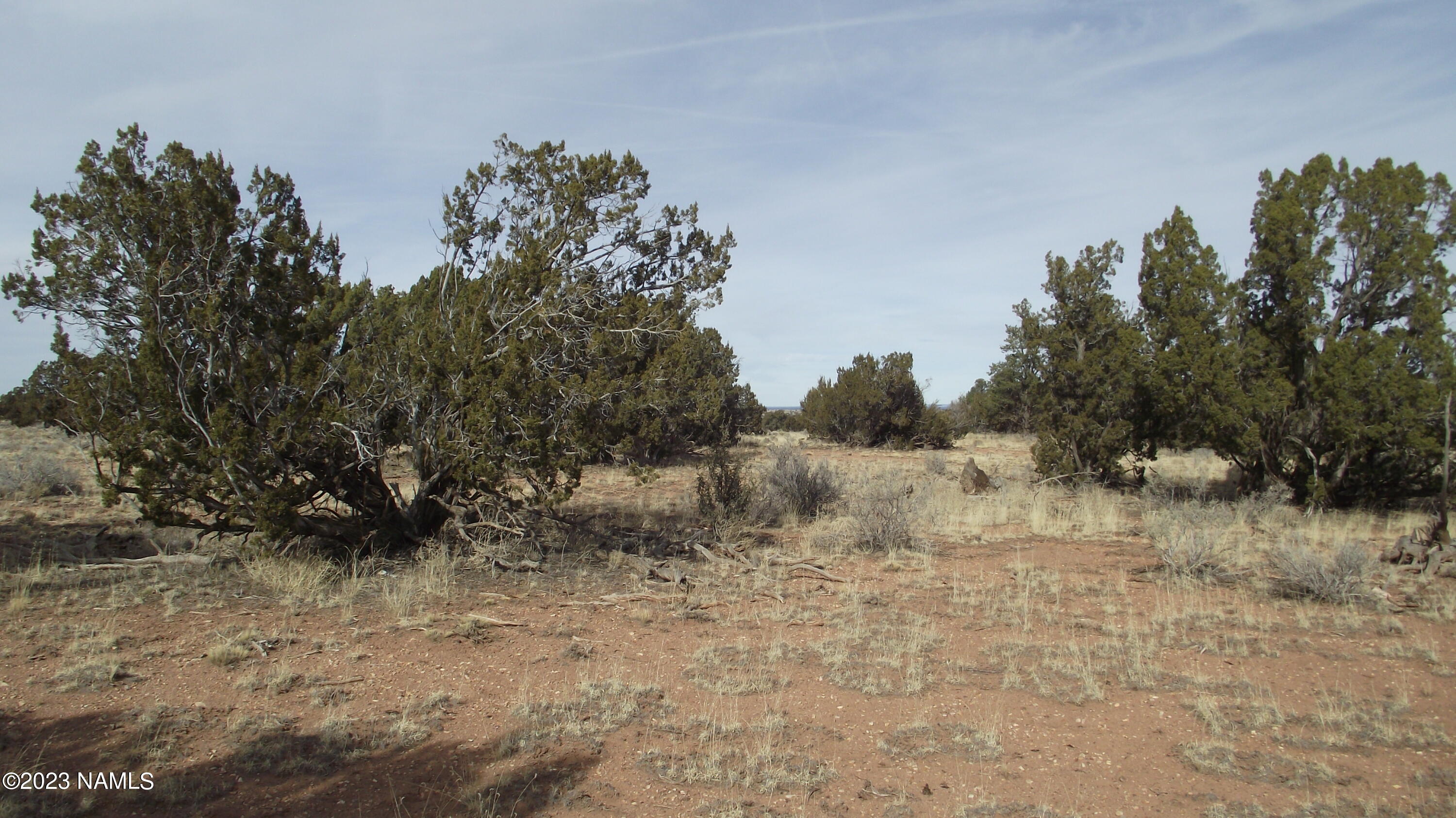 5200 Bowline Road, Unit 269 Williams, AZ 86046 - Photo 4 of 13 DSCF5989