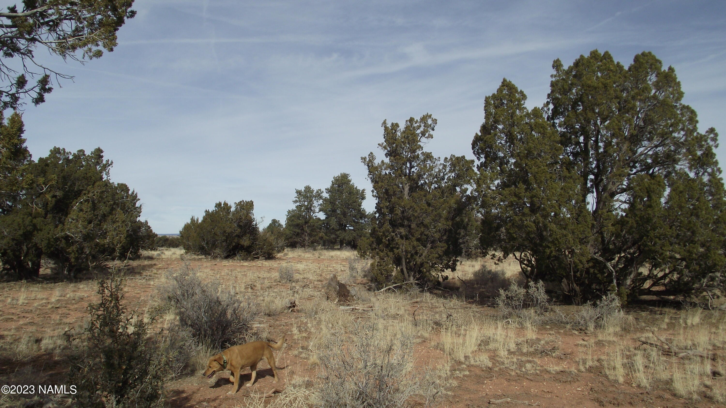 5200 Bowline Road, Unit 269 Williams, AZ 86046 - Photo 6 of 13 DSCF5991