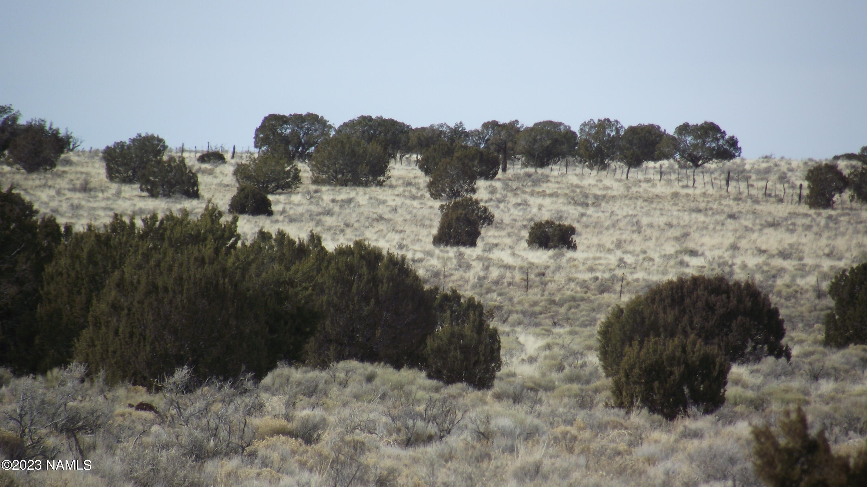 5200 Bowline Road, Unit 269 Williams, AZ 86046 - Photo 8 of 13 DSCF5993