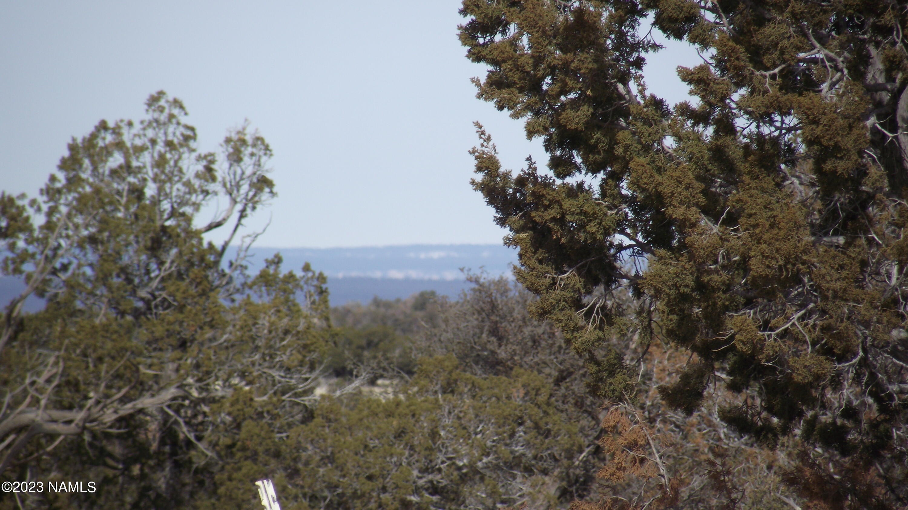 5200 Bowline Road, Unit 269 Williams, AZ 86046 - Photo 10 of 13 DSCF5995
