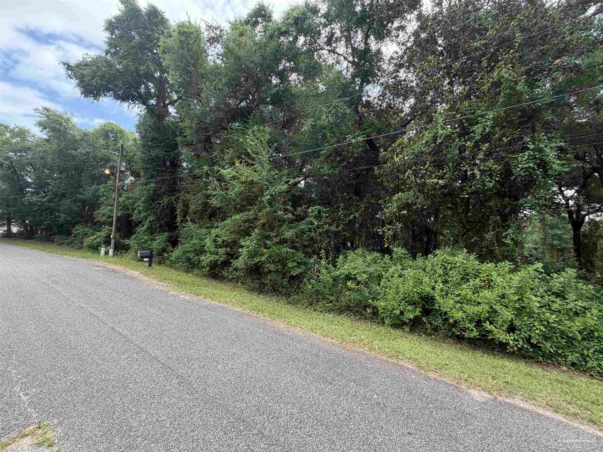 0 Shell Road Milton, FL 32583 - Photo 4 of 6 a view of a field with plants and trees