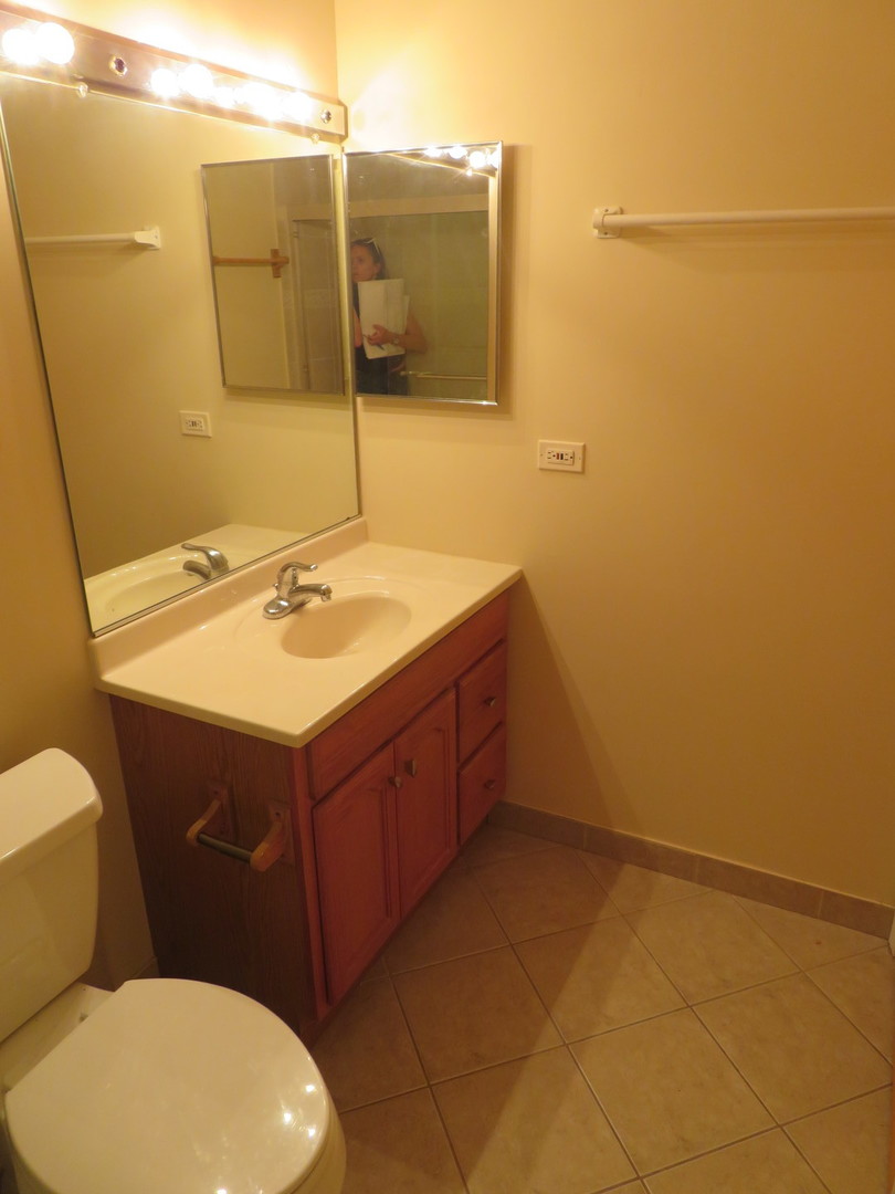 457 North Cambridge Drive, Unit 457 Palatine, IL 60067 - Photo 25 of 31 a bathroom with a sink a toilet and mirror