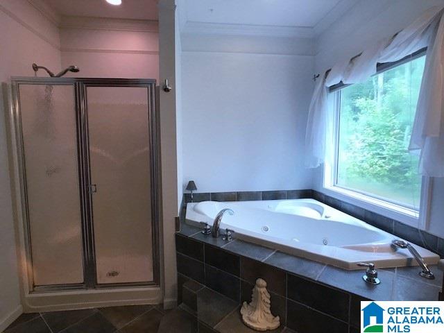 18388 Highway 411 Springville, AL 35146 - Photo 16 of 42