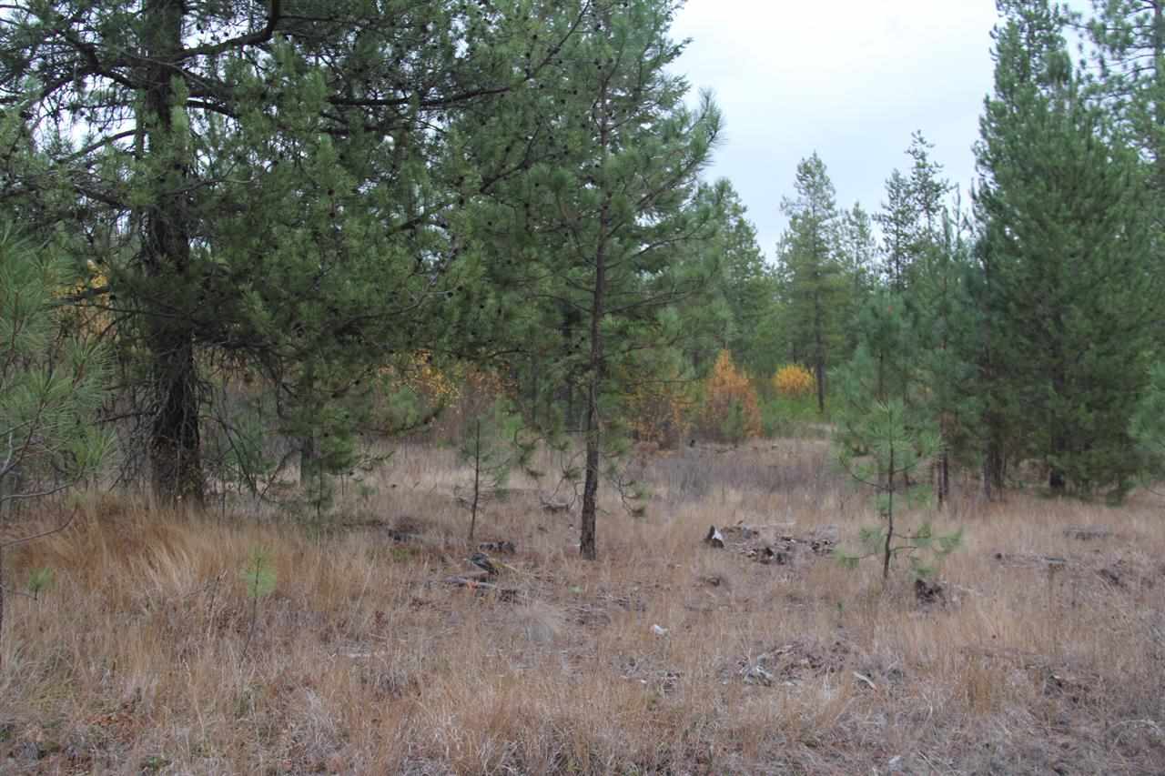 Lot 2 Woods Way Springdale, WA 99173 - Photo 19 of 20 Gallery Image 19