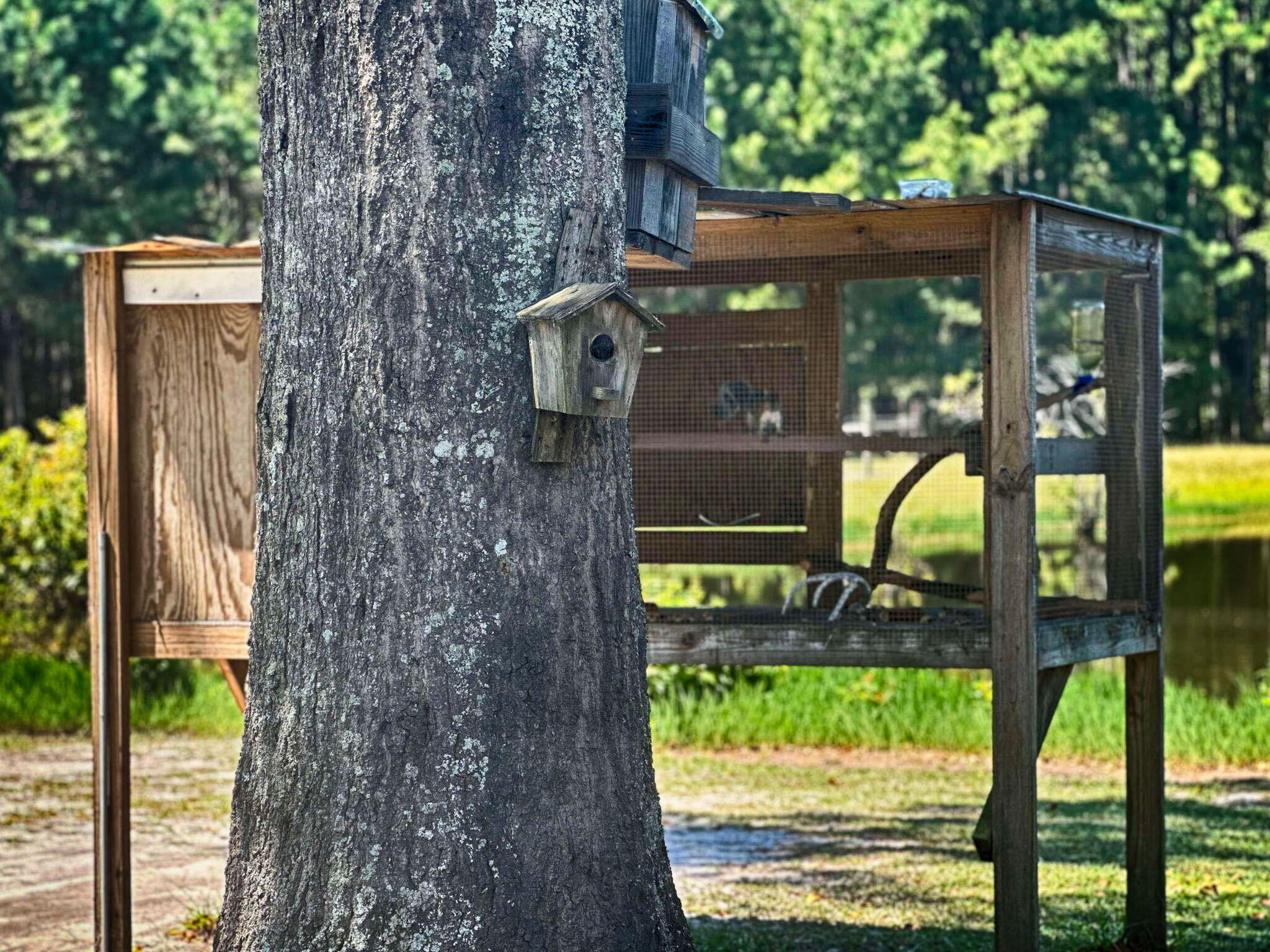 2715 Carver School Road Cope, SC 29038 - Photo 49 of 55 46