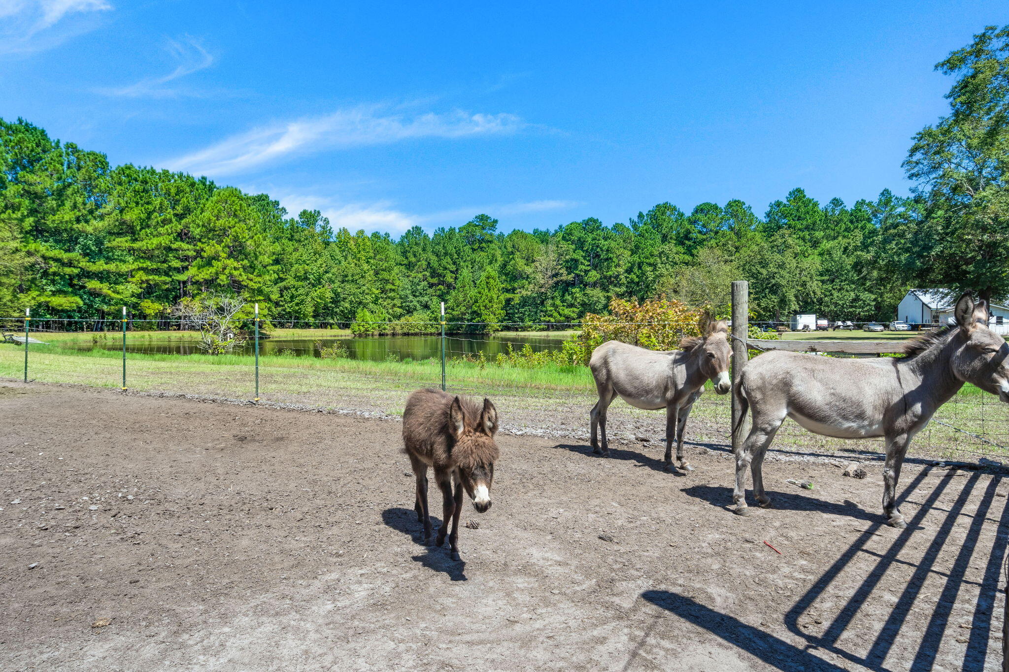 2715 Carver School Road Cope, SC 29038 - Photo 50 of 55 47