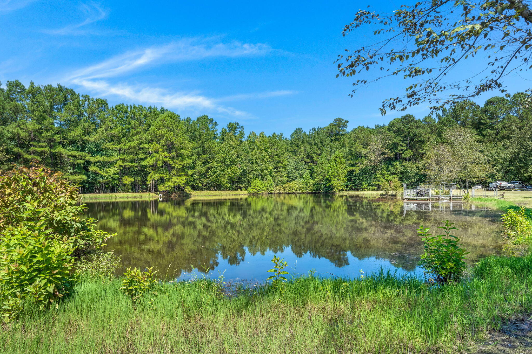 2715 Carver School Road Cope, SC 29038 - Photo 54 of 55 51
