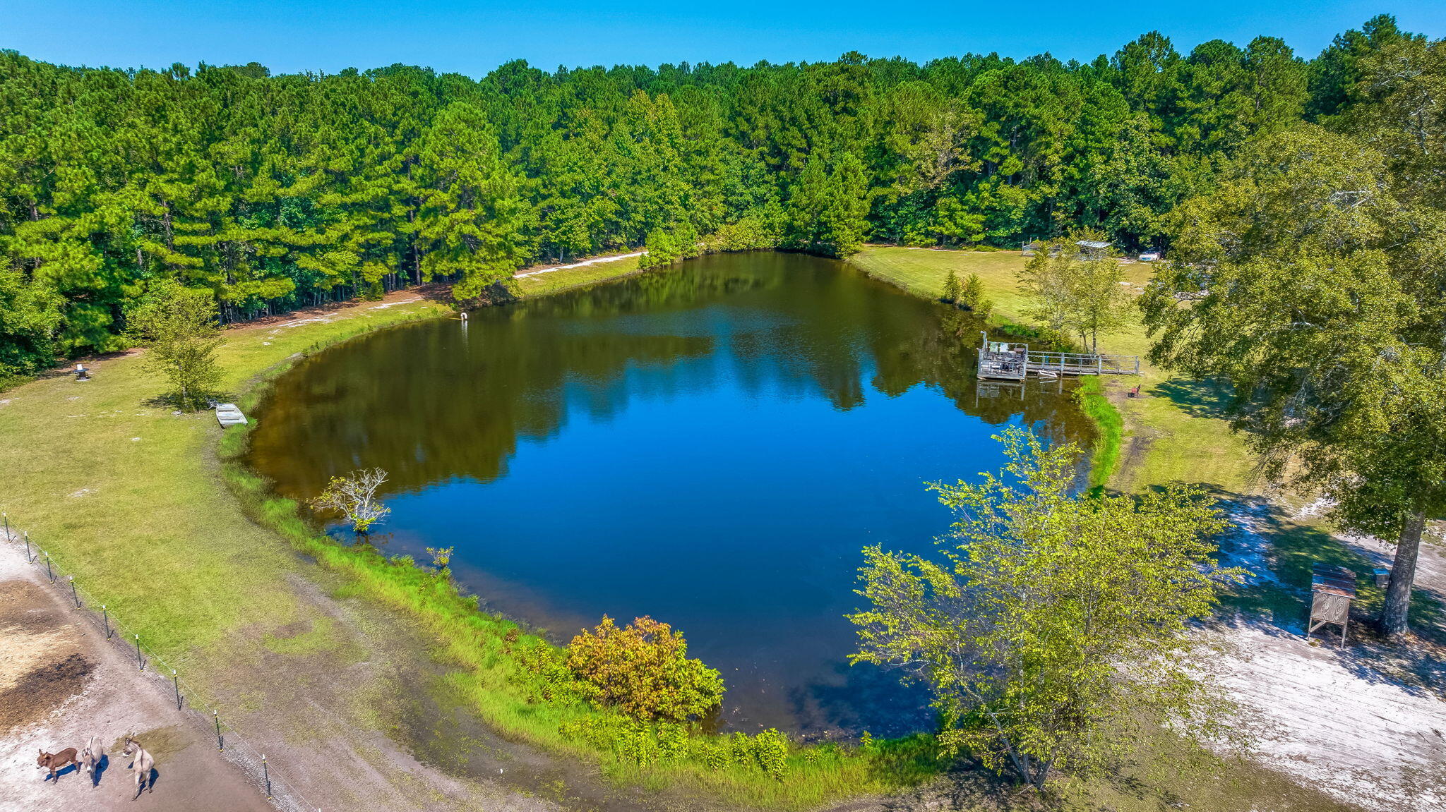 2715 Carver School Road Cope, SC 29038 - Photo 55 of 55 52