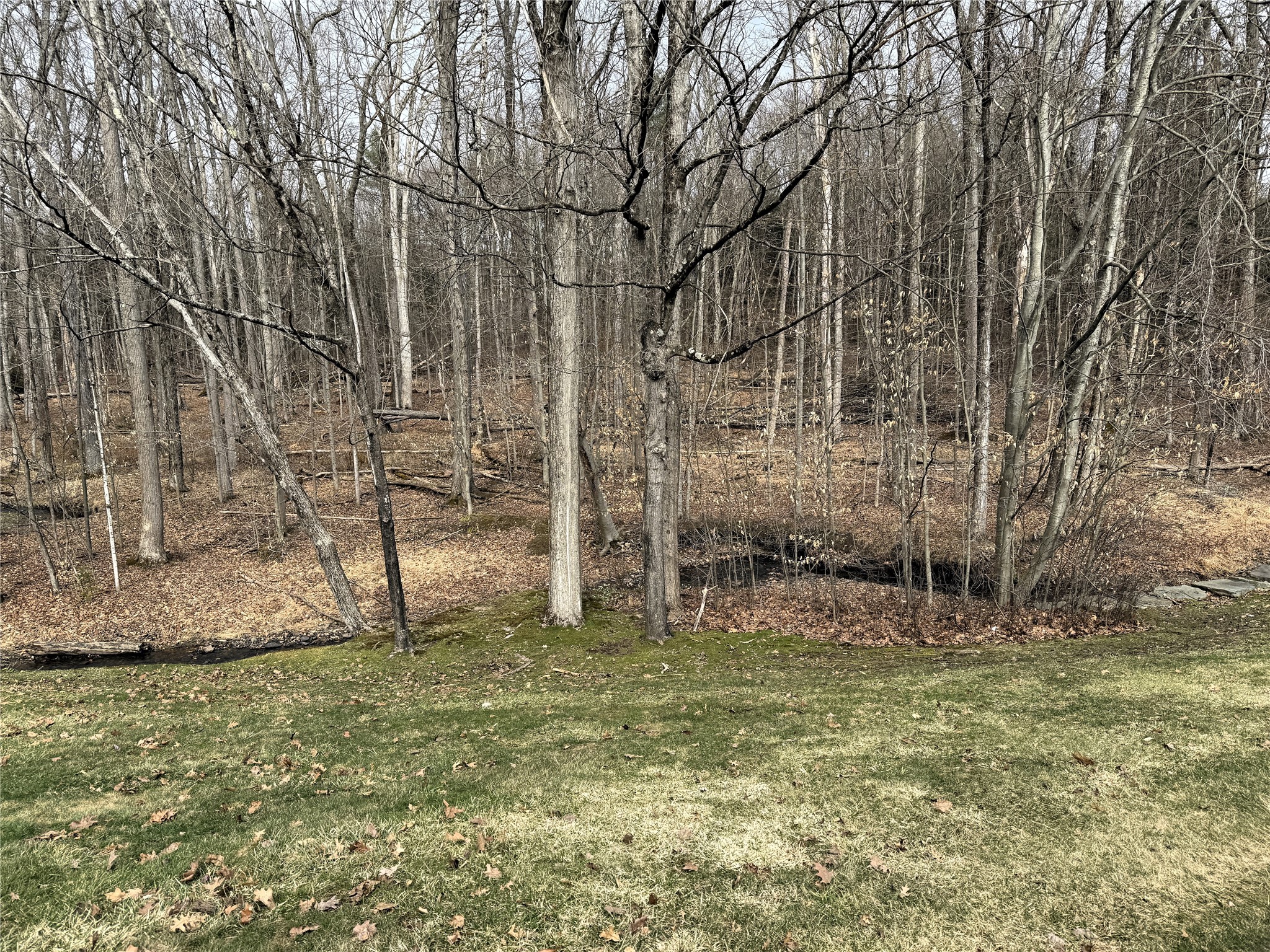 284 Ridgefield Road Endicott, NY 13760 - Photo 48 of 50