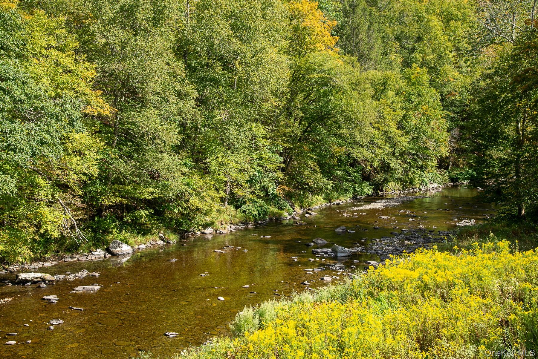 1009 Beaverkill Road Livingston Manor, NY 12758 - Photo 14 of 19 a view of lake view