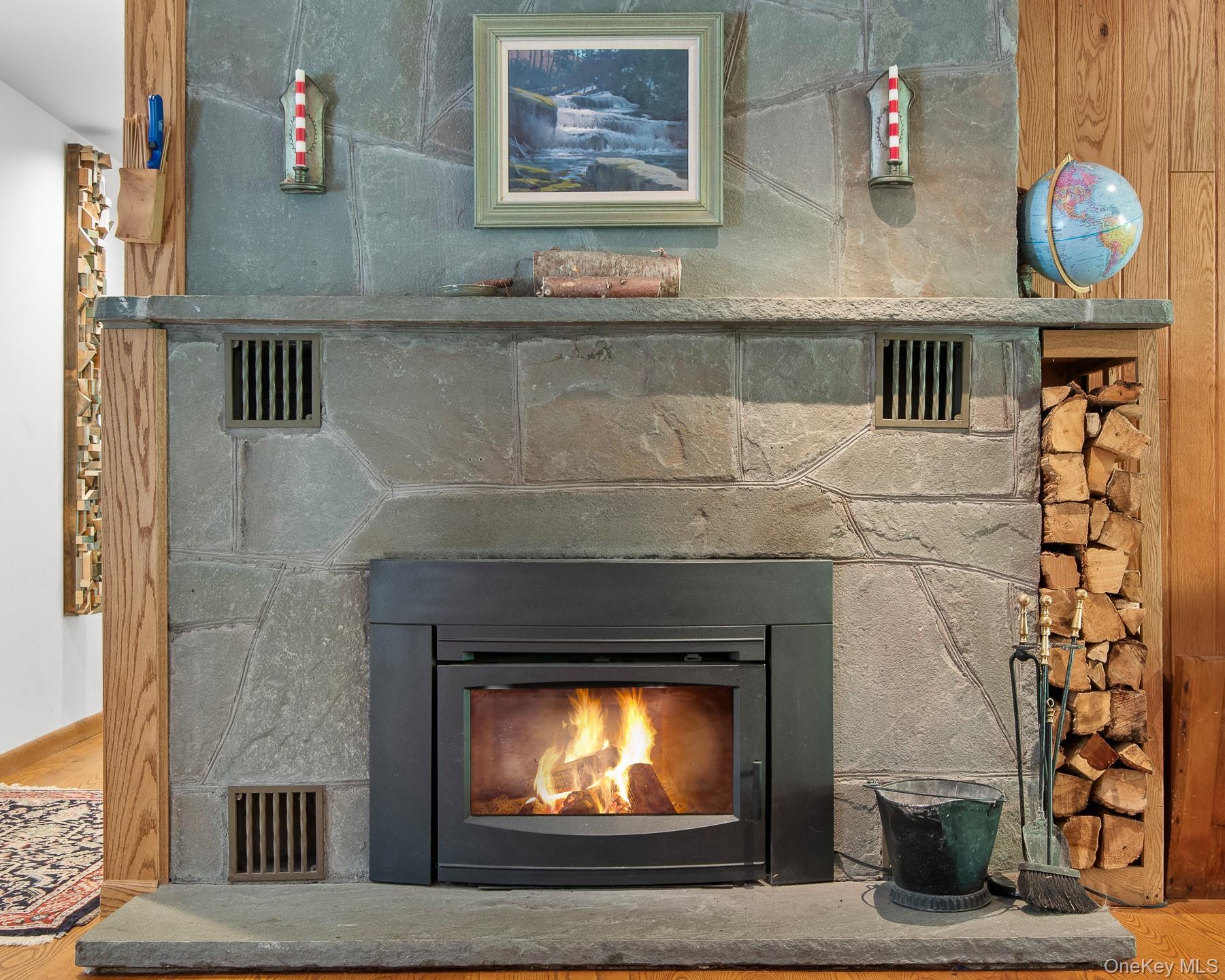 1009 Beaverkill Road Livingston Manor, NY 12758 - Photo 15 of 19 a view of fireplace with elevator