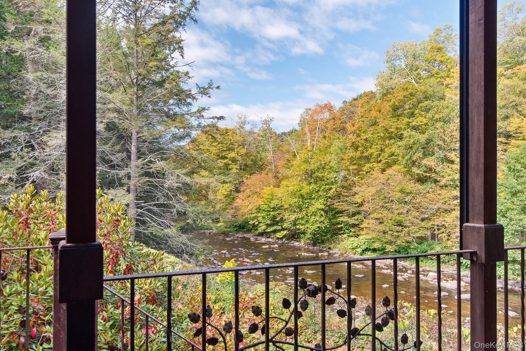 1009 Beaverkill Road Livingston Manor, NY 12758 - Photo 19 of 19 a view of a balcony