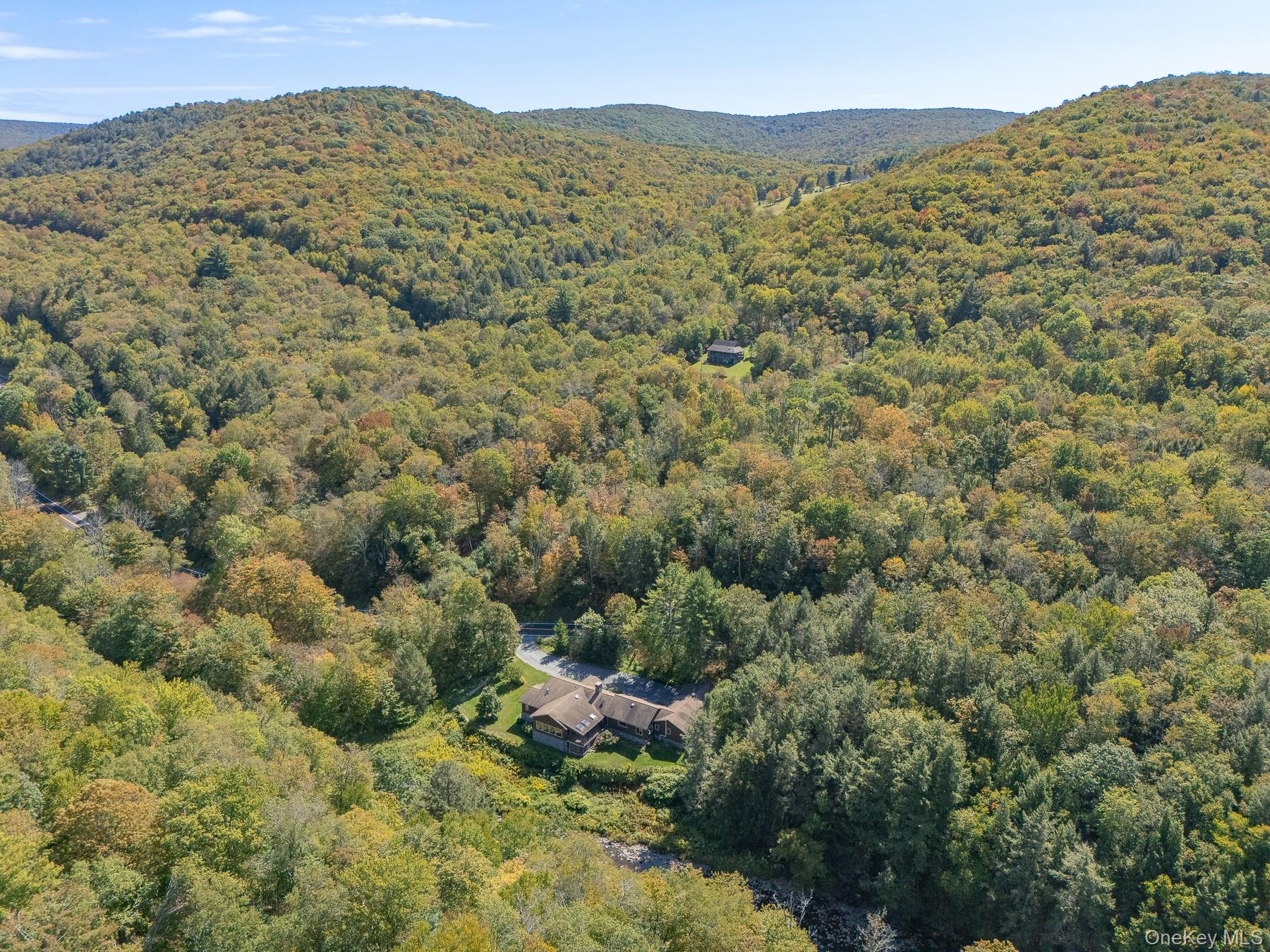 1009 Beaverkill Road Livingston Manor, NY 12758 - Photo 4 of 19 a view of a large building with mountains in the background