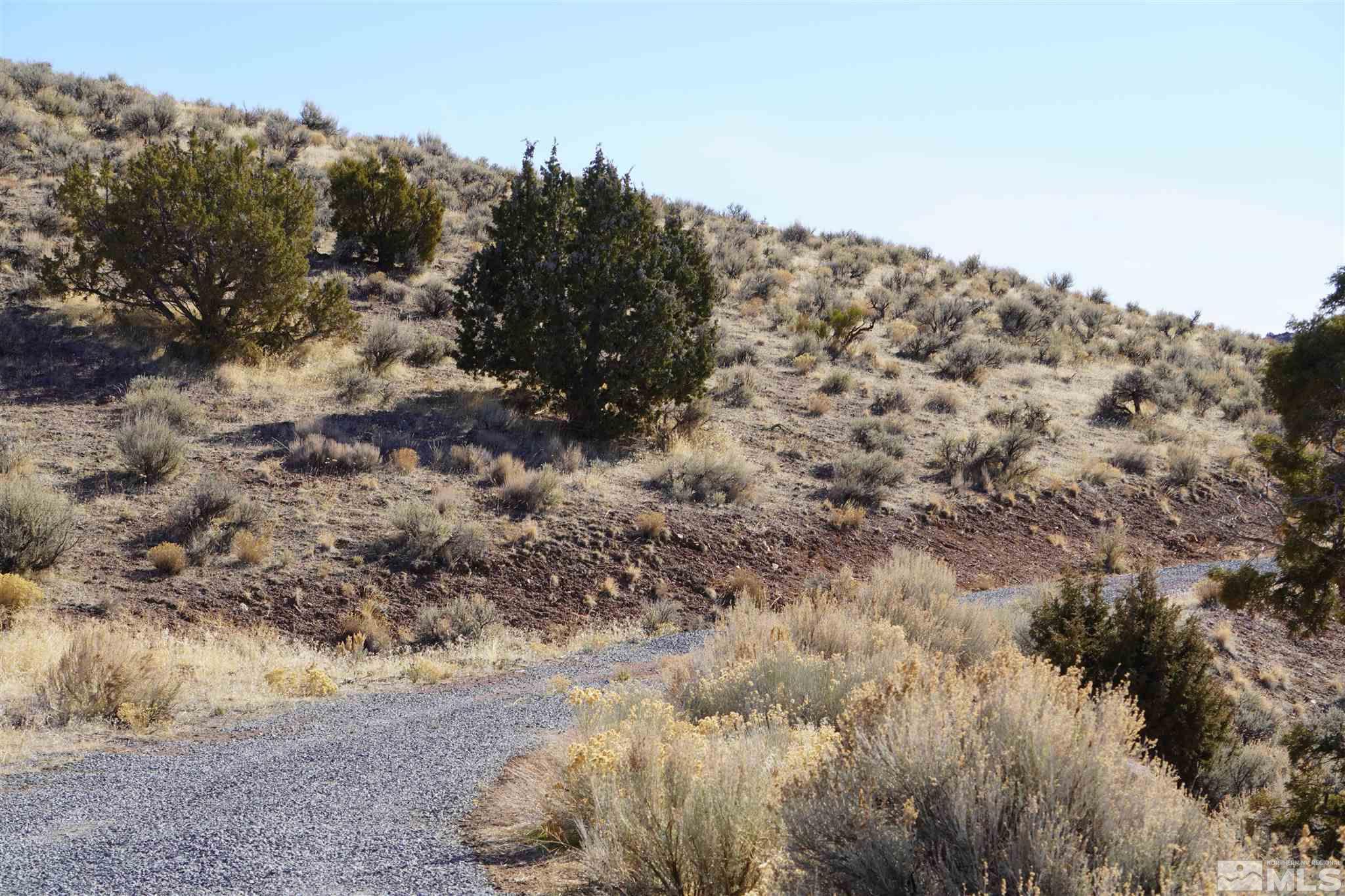 3000 Right Hand Canyon Road Reno, NV 89510 - Photo 12 of 12 Photo 12