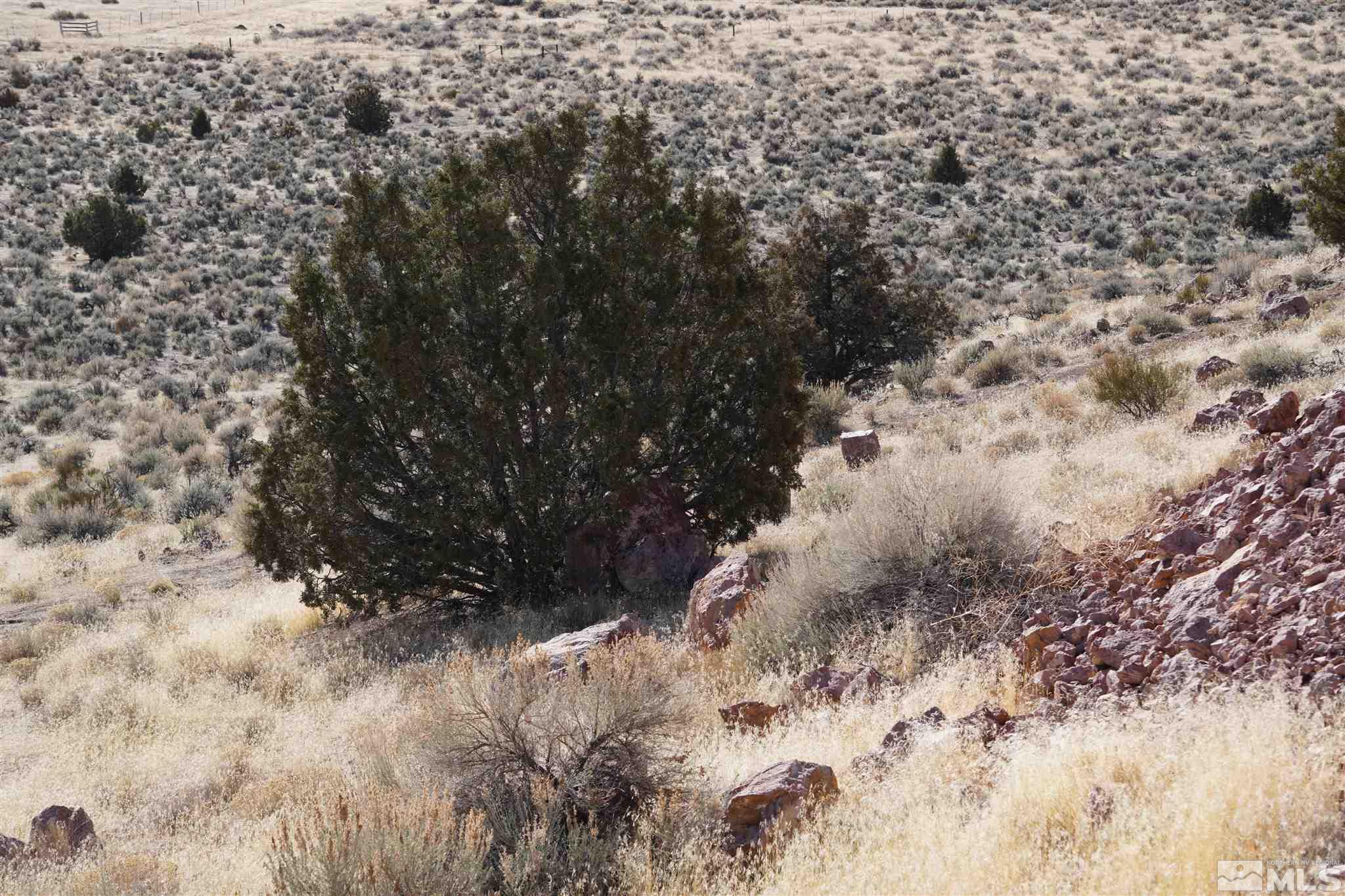 3000 Right Hand Canyon Road Reno, NV 89510 - Photo 8 of 12 Photo 8